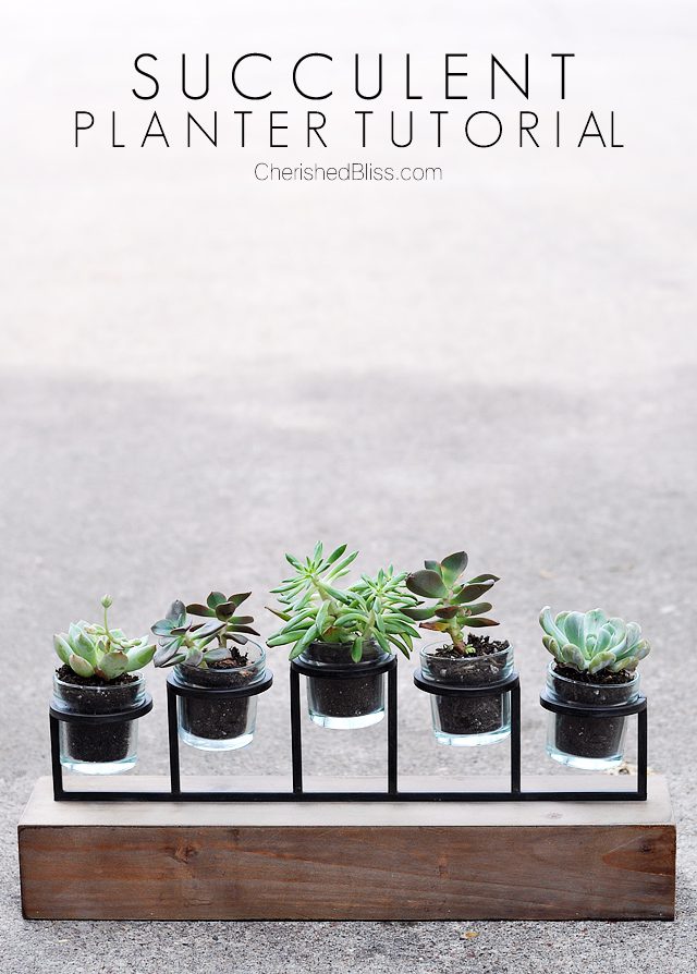 From a candle holder to a succulent planter. This simple tutorial will bring nature inside with minimal care required!