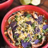 Try this Delicious Chicken Tortilla Soup - Absolutely DELICIOUS!