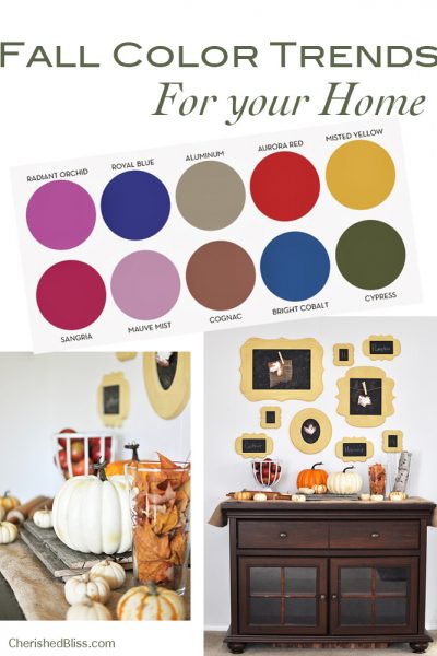 Fall Color Trends for your home