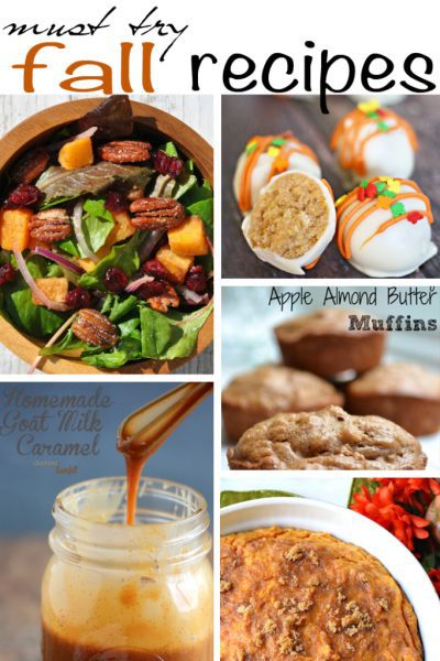 Preparing for Thanksgiving? Here are 5 Must Try Fall Recipes for you to try this year!
