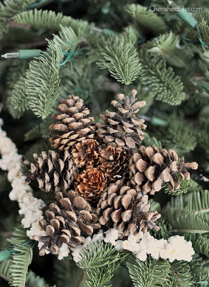 Create this Star Pine Cone Ornament from pine cones found in your very own yard!  via cherishedbliss.com