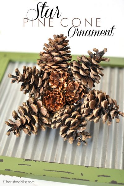 Create this Star Pine Cone Ornament from pine cones found in your very own yard! via cherishedbliss.com