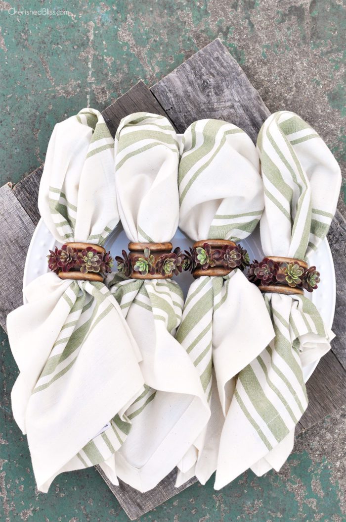 With just a few supplies you can create these beautiful succulent napkin rings. These are perfect for fall but easily transition through each season.