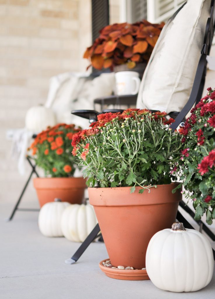 Create a Simple Fall Porch with a few flowers and white pumpkins. The perfect way to enjoy the season! 