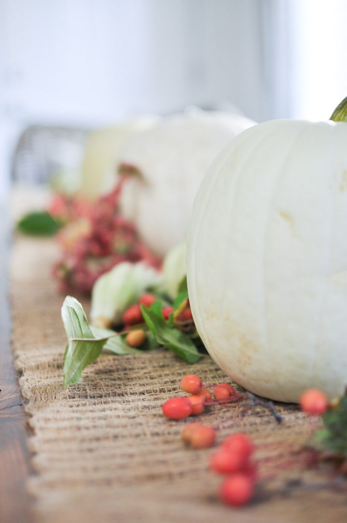 Create a Cozy Fall Home with these simple tips and ideas for Fall Decor. 