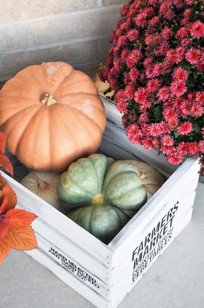 Create this beautiful DIY Fall Farmhouse Crate with a ready made crate, paint and a stencil. The perfect way to provide a farmhouse feel to your Fall Decor.