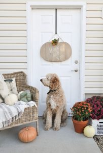 Learn how to build this Rustic Pumpkin Door Hanger. This tutorial can easily be transitioned for any seasonal character. Your imagination is the limit!