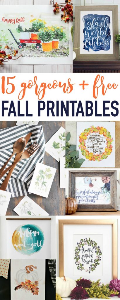 Download a copy of these simple Fall Botanical Printables to use in your fall decor this year! 
