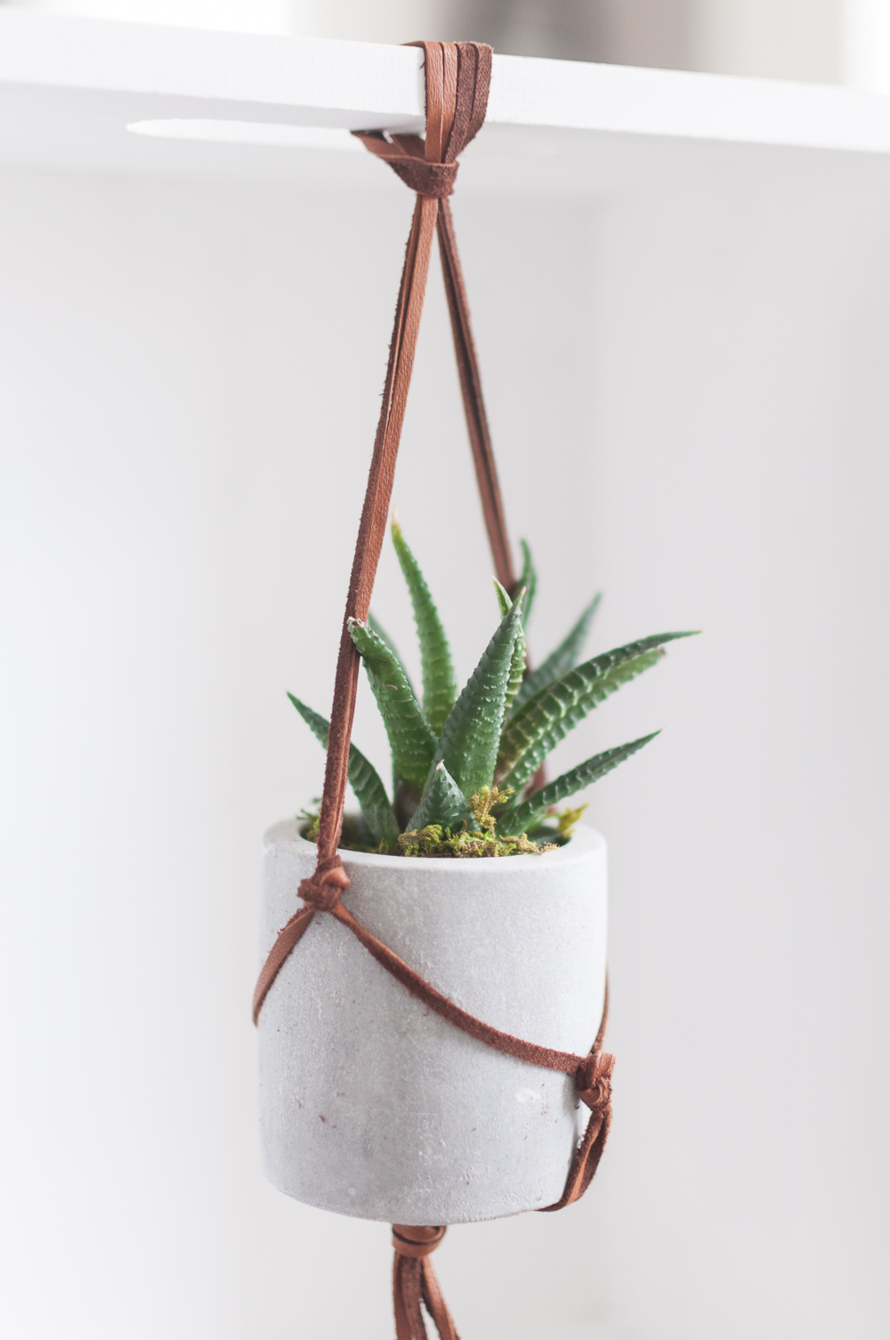 Follow this unique Leather Macrame Hanging Succulent Planter Tutorial to bring stylish natural elements into your home. Customize this Succulent Planter to fit any decor style!