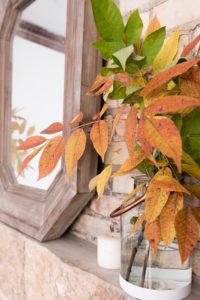 With a simple craft project and clippings from nature you can create this easy, natural fall mantel to compliment your decor!