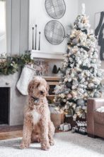 Neutral, Modern Cozy Christmas Tree Decor Ideas You'll Love
