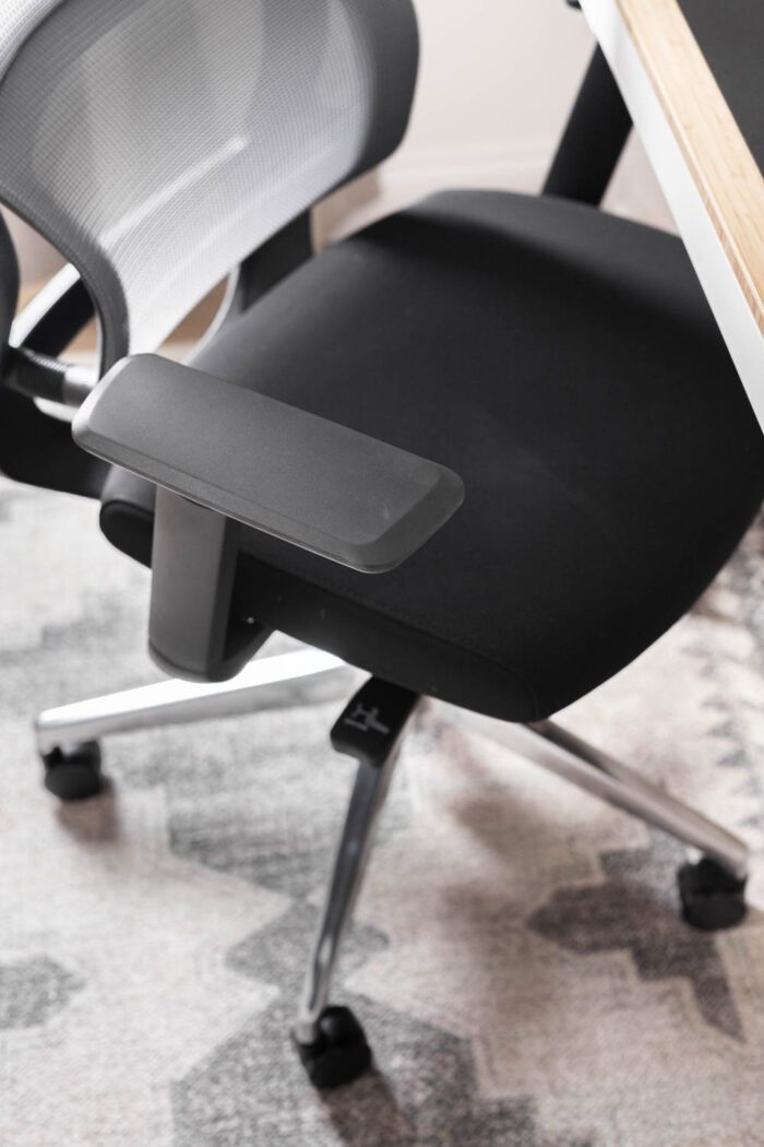 Flexispot ergonomic chair