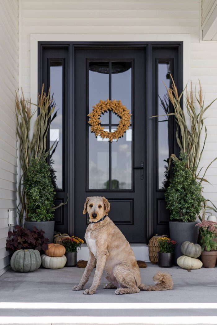 Fall front porch with pumpkins, Fall plants, and corn stalks for a Modern Neutral vibe